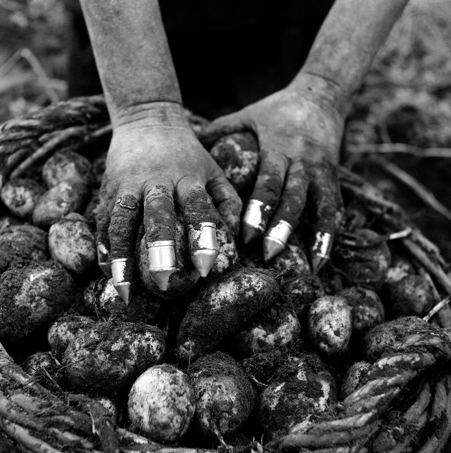 Aardappelrooister, Charles Breijer