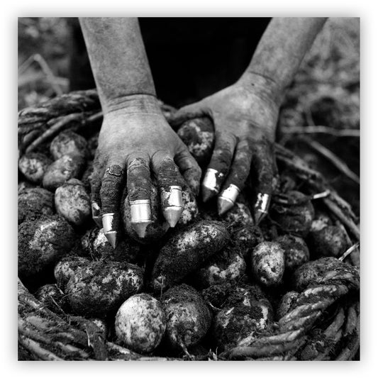 Aardappelrooister, Charles Breijer