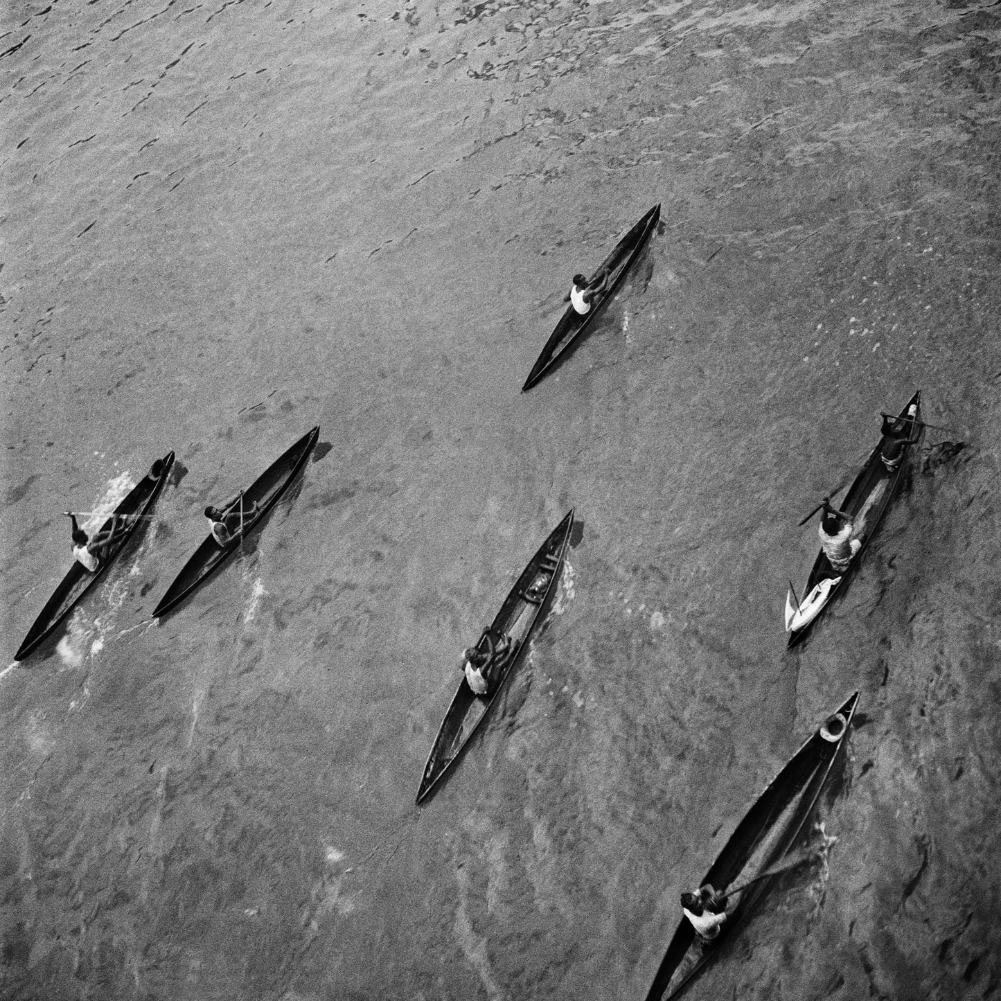 Kano's, Ellen Thorbecke