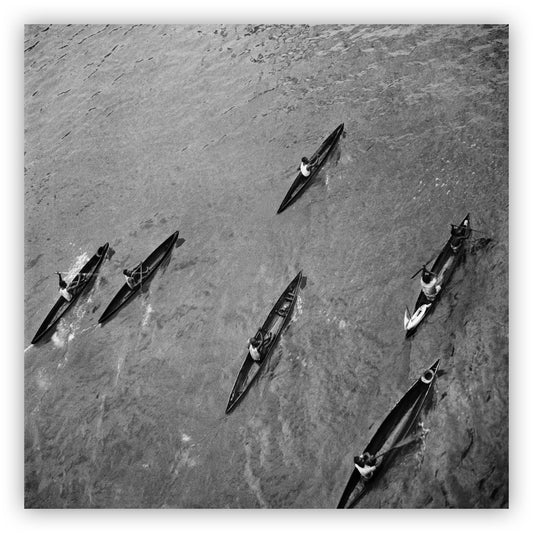 Kano's, Ellen Thorbecke