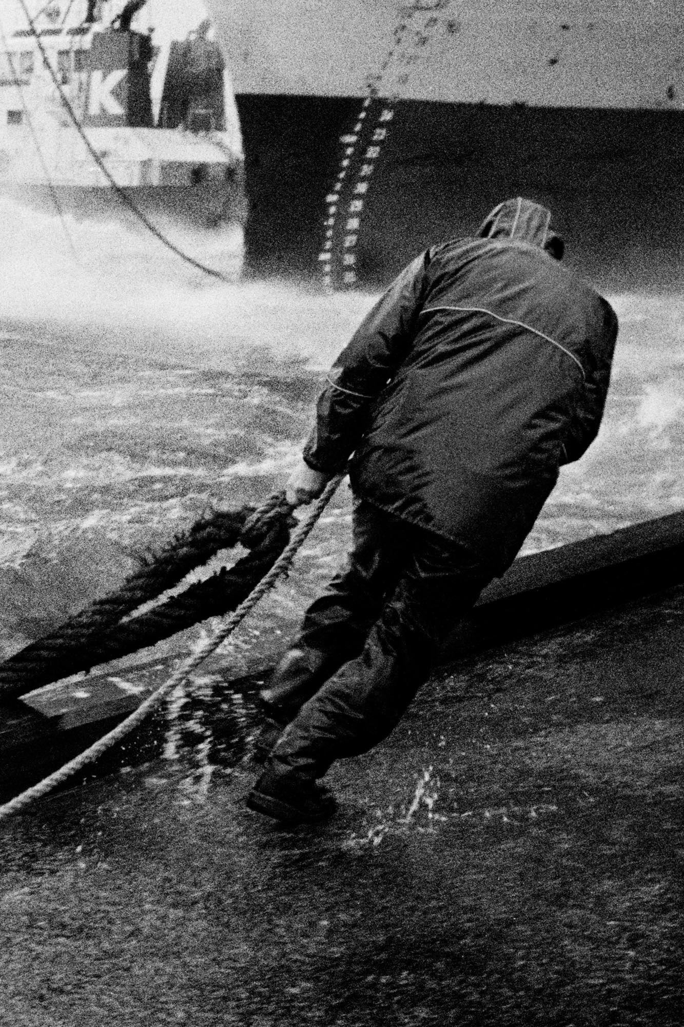 Roeier, Hajo Piebenga