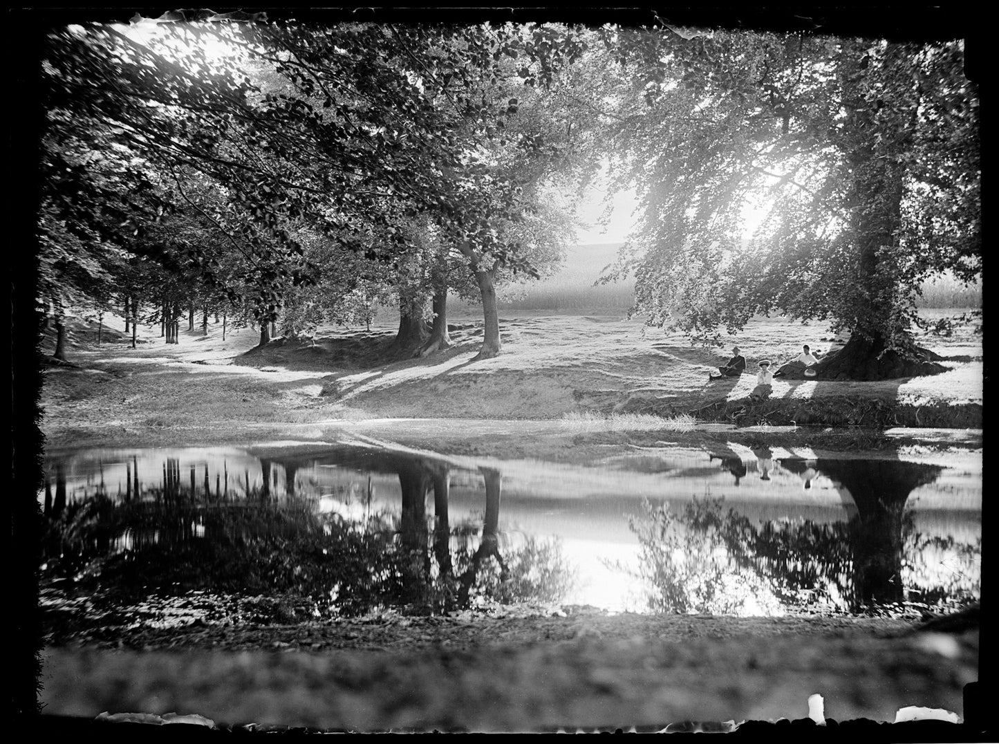 Stemmer Berg, Katharina Behrend