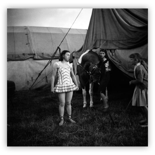 Circus van Bever, Lucebert