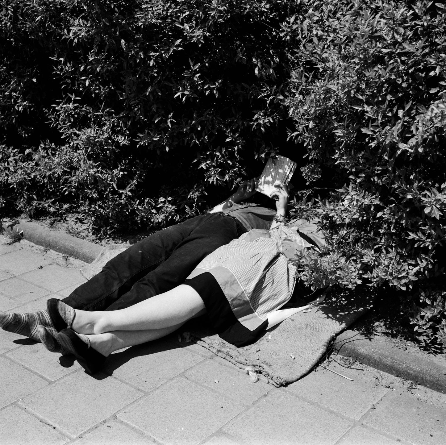 Zonnebaden, Martien Coppens