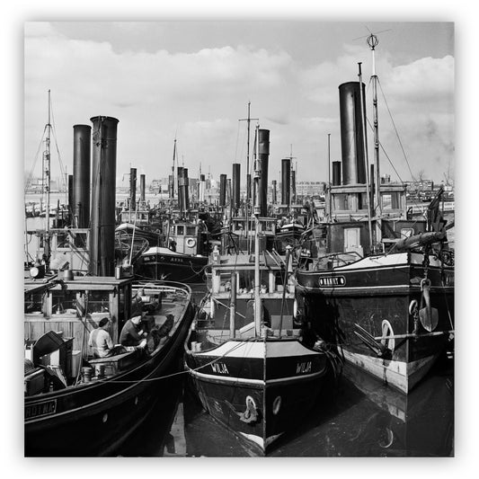 Wilja en Nanny, Kees Molkenboer