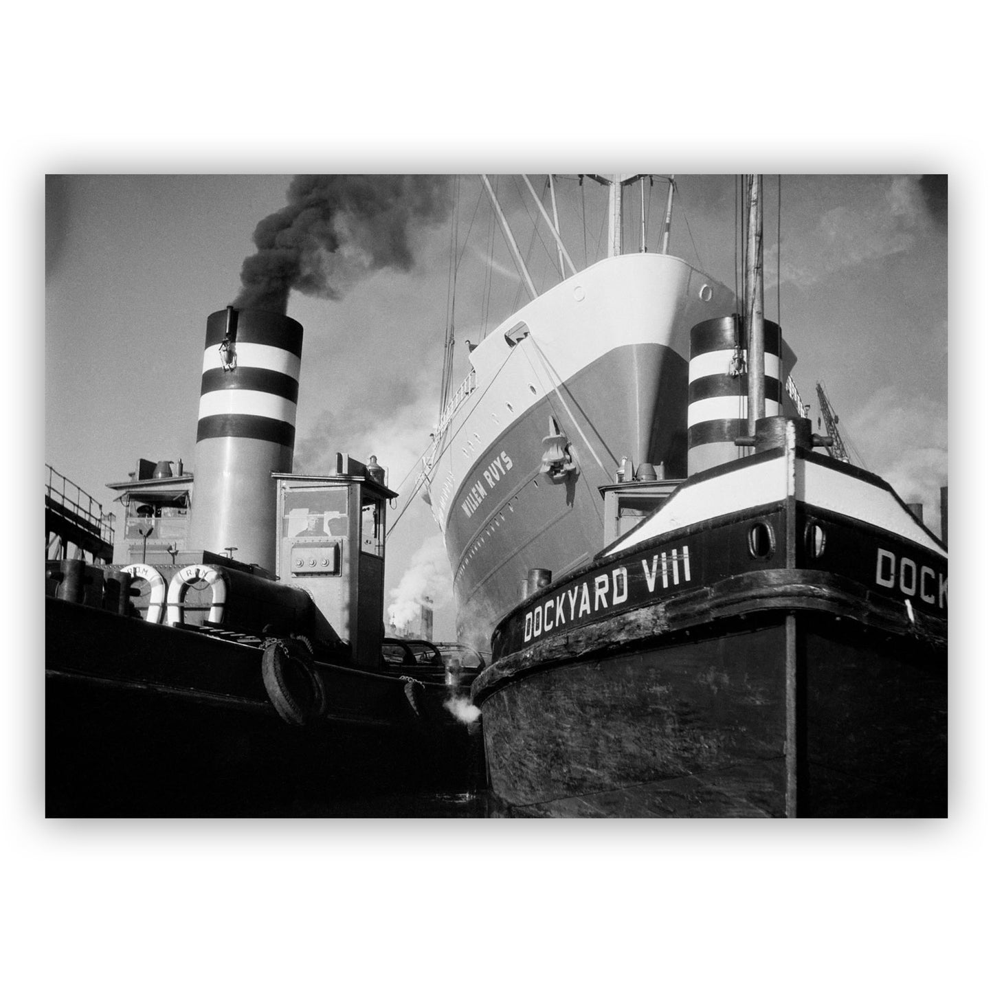 De Willem Ruys, Kees Molkenboer