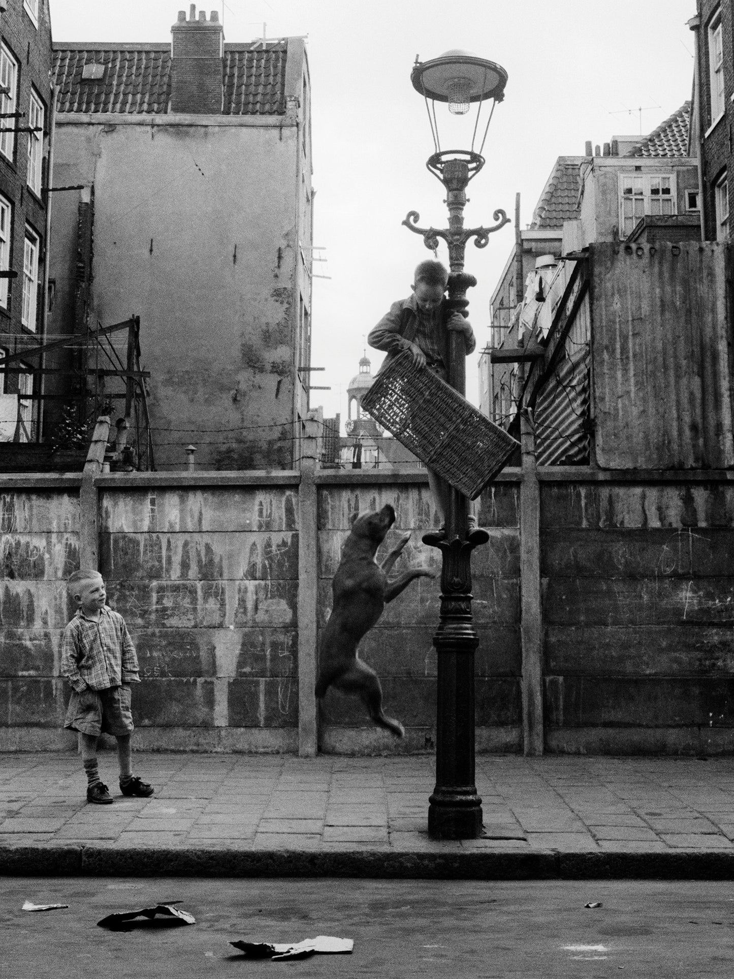 Straathond, Oscar van Alphen