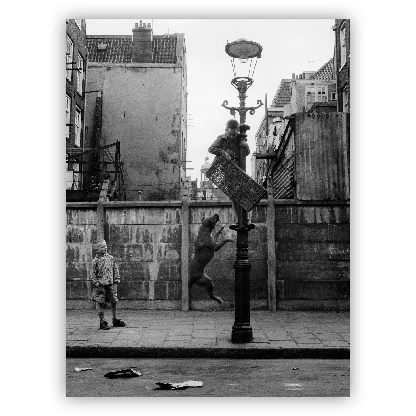 Straathond, Oscar van Alphen