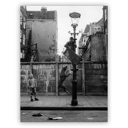 Straathond, Oscar van Alphen