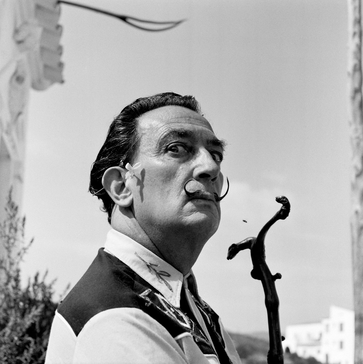 Salvador Dali, Lies Wiegman