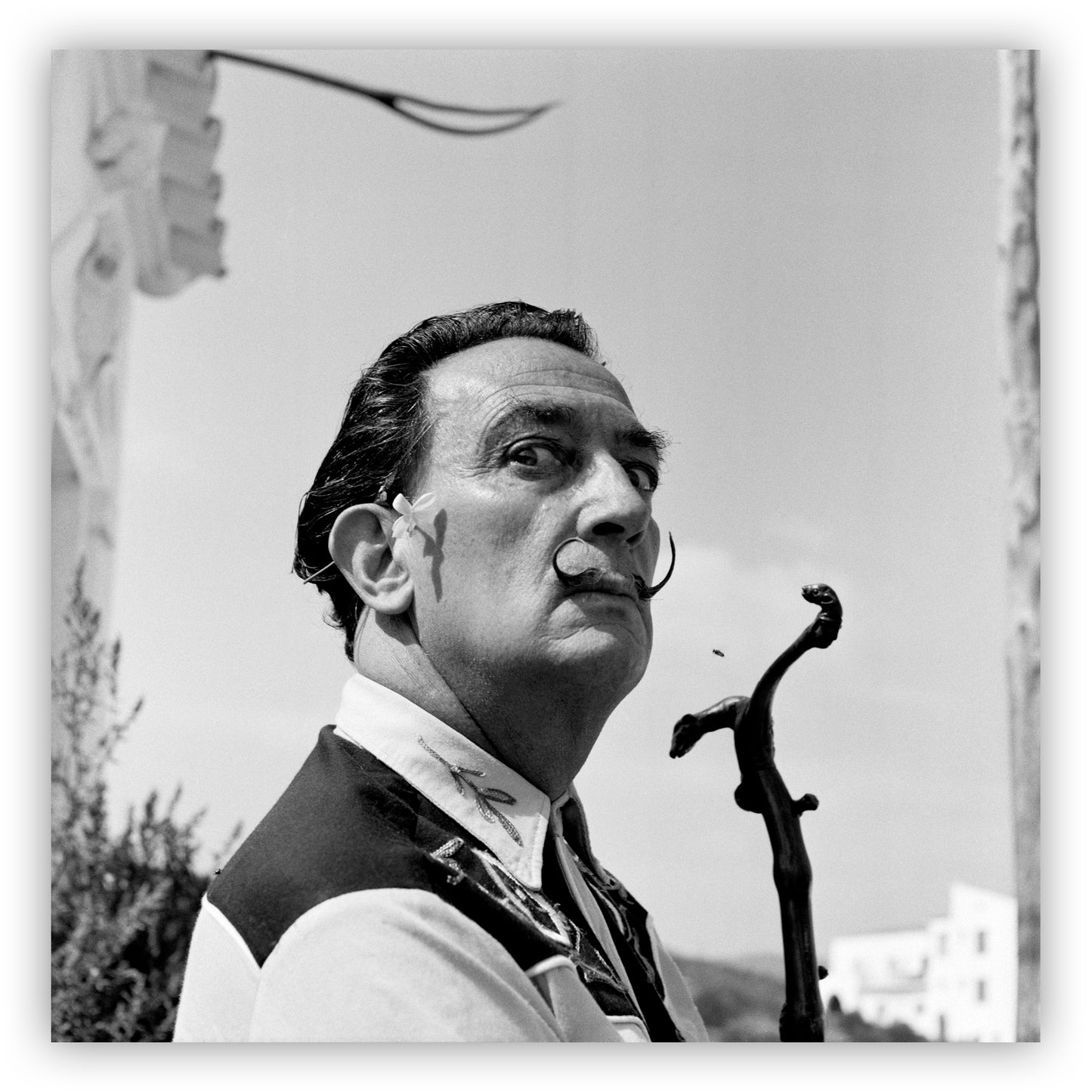 Salvador Dali, Lies Wiegman