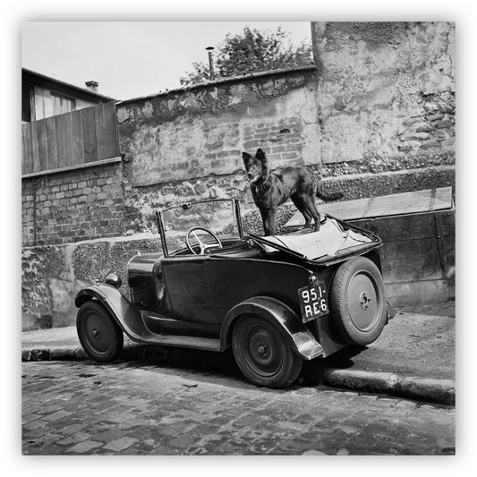 Hond en auto, Ellen Thorbecke
