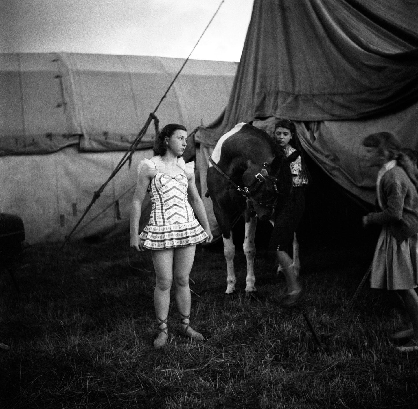 Circus van Bever, Lucebert