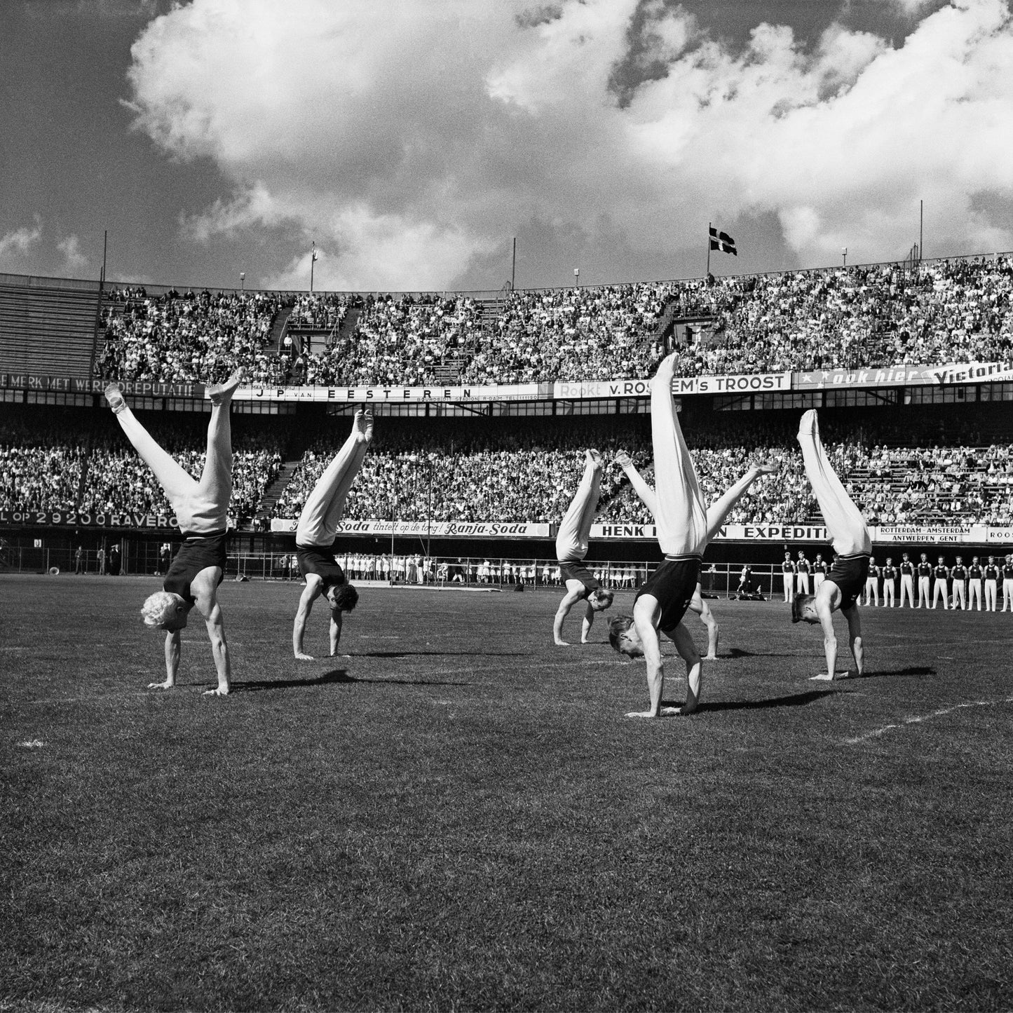 Gymnaestrada, Kees Molkenboer