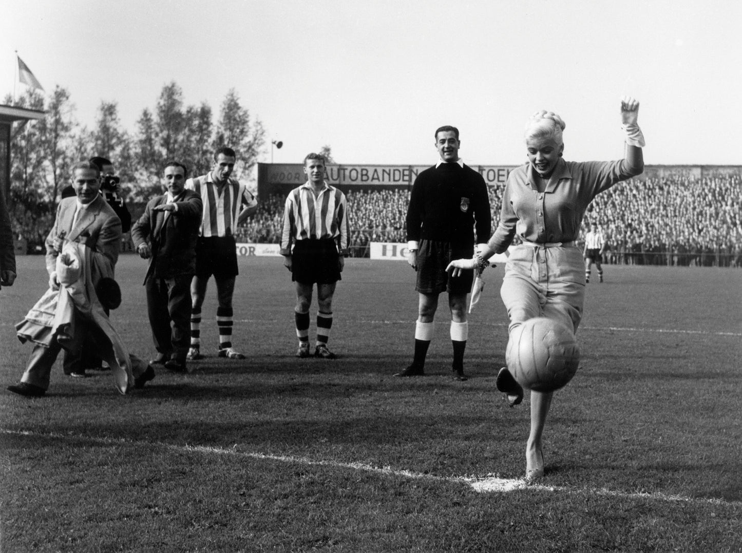 Filmster Jayne Mansfield, Kees Molkenboer