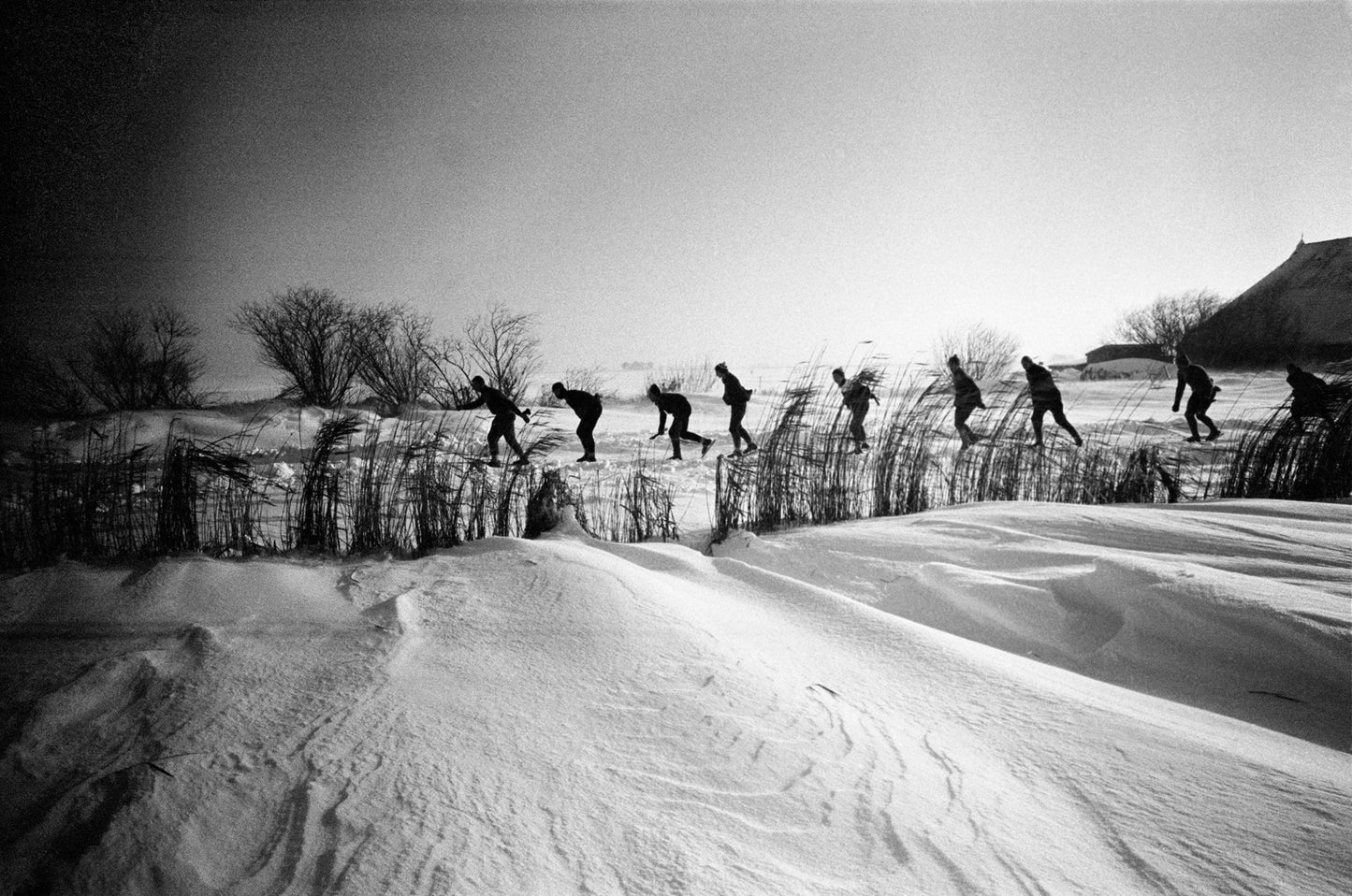 Friese Elfstedentocht, Violette Cornelius