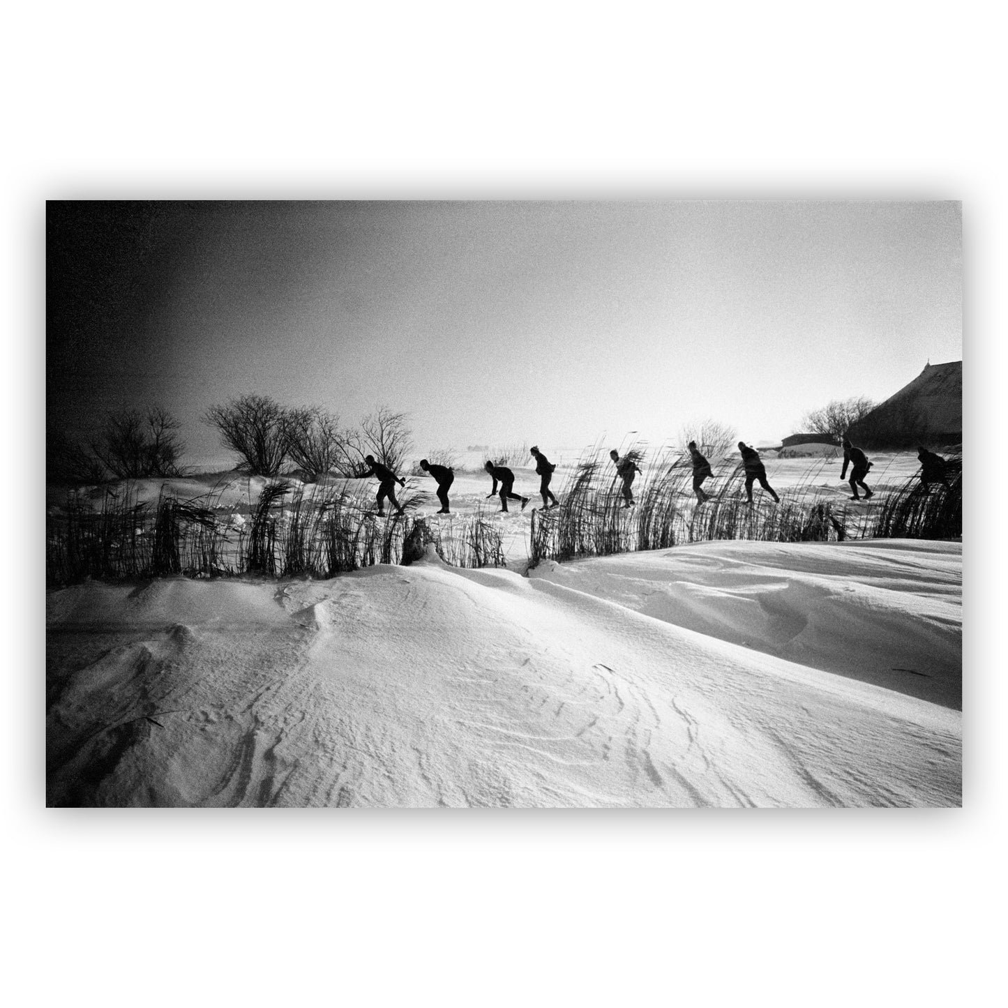 Friese Elfstedentocht, Violette Cornelius